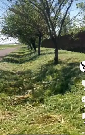 Vindem casa batraneasca lângă Slobozia.  - imagine 4