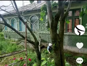 Vindem casa batraneasca lângă Slobozia.  - imagine 5