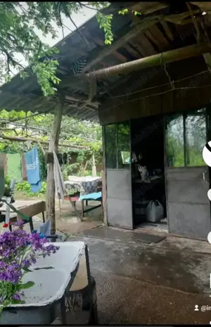 Vindem casa batraneasca lângă Slobozia.  - imagine 9