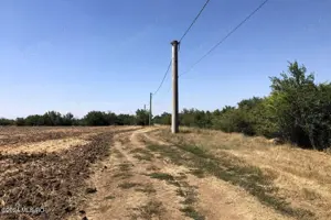 Moara Vlasiei - langa Padurea Biglaru, 11.884 mp, deschidere 40 ml - imagine 2