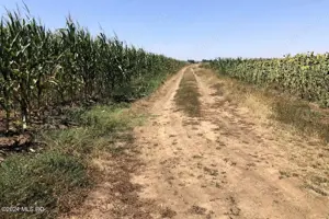 Moara Vlasiei - langa Padurea Biglaru, 11.884 mp, deschidere 40 ml - imagine 8