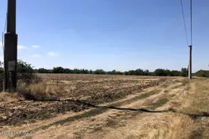 Moara Vlasiei - langa Padurea Biglaru, 11.884 mp, deschidere 40 ml - imagine 3