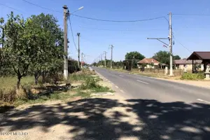 Moara Vlasiei - langa Padurea Biglaru, 11.884 mp, deschidere 40 ml - imagine 6