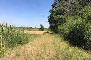 Moara Vlasiei - langa Padurea Biglaru, 11.884 mp, deschidere 40 ml - imagine 10