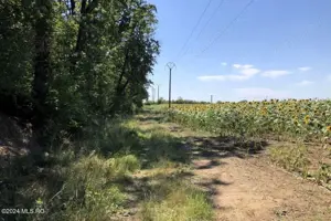 Moara Vlasiei - langa Padurea Biglaru, 11.884 mp, deschidere 40 ml - imagine 9