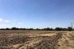 Moara Vlasiei - langa Padurea Biglaru, 11.884 mp, deschidere 40 ml - imagine 4