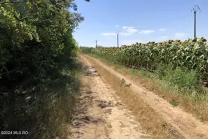 Moara Vlasiei - langa Padurea Biglaru, 11.884 mp, deschidere 40 ml - imagine 11