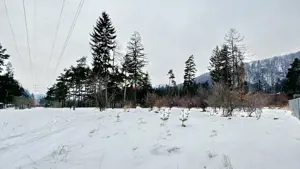 Teren intravilan - Sacele - Brasov