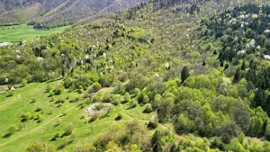 Teren Intravilan parcele 1000mp - imagine 18