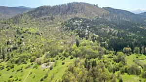 Teren Intravilan parcele 1000mp - imagine 16