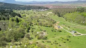 Teren Intravilan parcele 1000mp - imagine 8