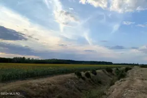 Tamasi, langa padure, 12.824 mp, deschidere 45 ml, teren cu potential - imagine 9