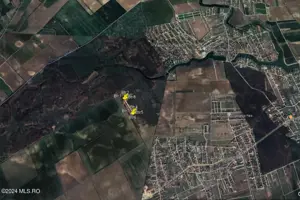 Tamasi, langa padure, 12.824 mp, deschidere 45 ml, teren cu potential - imagine 4