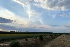 Tamasi, langa padure, 12.824 mp, deschidere 45 ml, teren cu potential - imagine 6