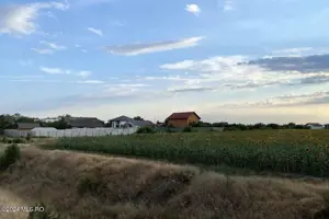 Tamasi, langa padure, 12.824 mp, deschidere 45 ml, teren cu potential - imagine 2