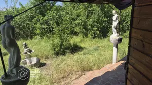 Casa de vacanta in comuna Sistarovat - imagine 12