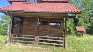 Casa de vacanta in comuna Sistarovat - imagine 2