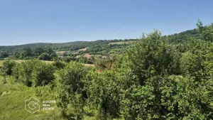 Casa de vacanta in comuna Sistarovat - imagine 11