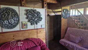 Casa de vacanta in comuna Sistarovat - imagine 4