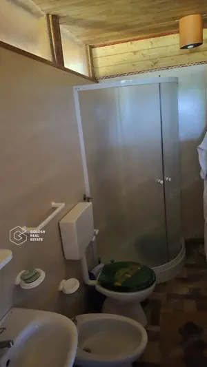 Casa de vacanta in comuna Sistarovat - imagine 6