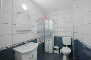 Spațiu Comercial + Birouri de Închiriat – 235 mp – Ultracentral - imagine 19