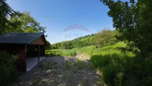 Teren pentru constructii Sighisoara  5144 mp/ Strada Aurel Vlaicu - imagine 2