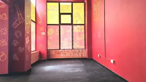 Spatiu Comercial , 100 mp , calea 6 Vanatori - imagine 5