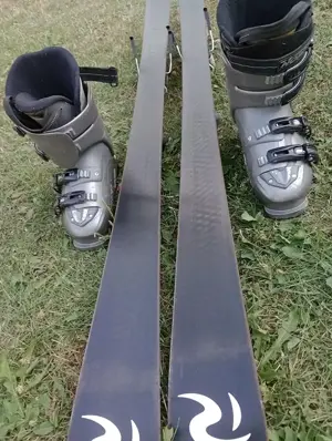 vand schiuri rossignol - imagine 2