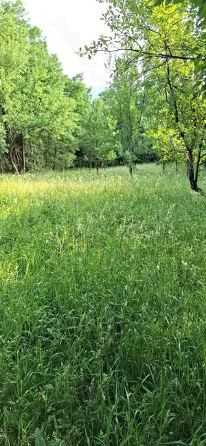 teren extravilan Brebu Prahova 1463 mp