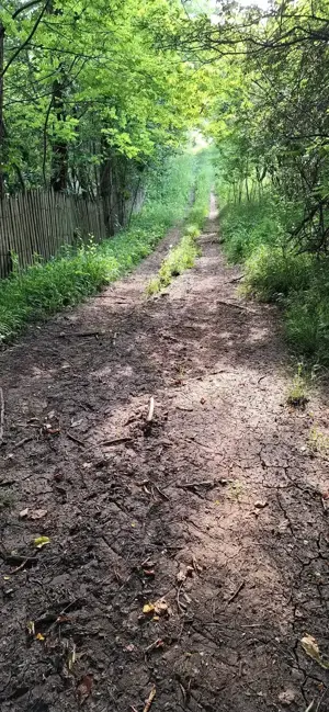 teren extravilan Brebu Prahova 1463 mp - imagine 4