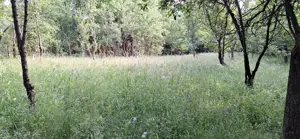 teren extravilan Brebu Prahova 1463 mp - imagine 3