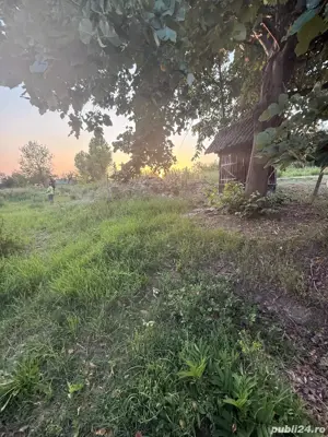 casa de vanzare  - imagine 4 casa de vanzare  - imagine 4