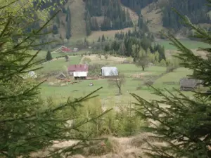 Vatra Dornei 5.500 mp intravilan - imagine 5