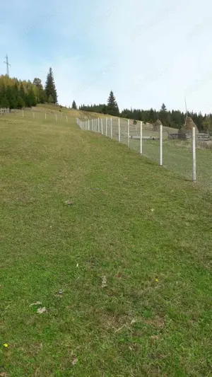 Vatra Dornei 5.500 mp intravilan - imagine 4