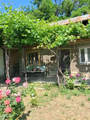 Vand casa + curte + spatiu comercial, ideal locuinta + afacere, Braila - imagine 5