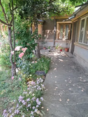 Vand casa + curte + spatiu comercial, ideal locuinta + afacere, Braila - imagine 3