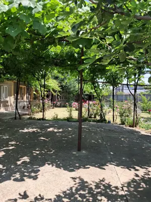 Vand casa + curte + spatiu comercial, ideal locuinta + afacere, Braila - imagine 6