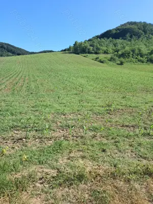 Teren pentru cabană,casă de vacanță 7000mp - imagine 3