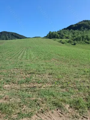 Teren pentru cabană,casă de vacanță 7000mp - imagine 2