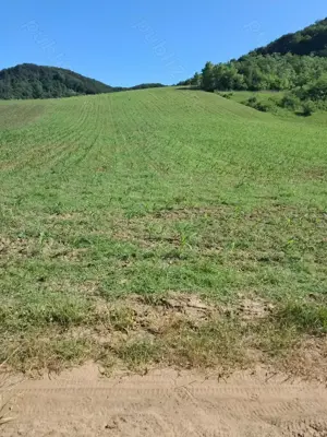 Teren pentru cabană,casă de vacanță 7000mp - imagine 5