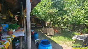 Tur Virtual! Casa  ergonomica,Codlea, Brasov. - imagine 11