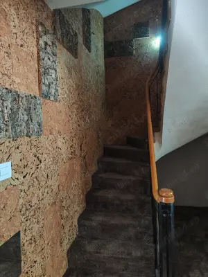 Herăstrău , spatele Ambasadei Chineze - imagine 6