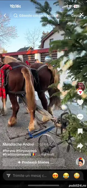 Manz de 1 an si 7 luni  - imagine 5