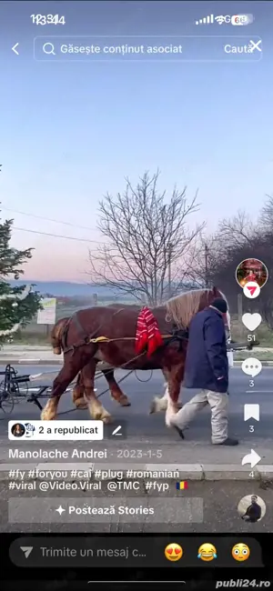 Manz de 1 an si 7 luni  - imagine 4