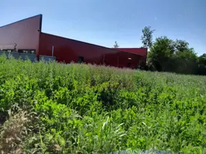 Movilita (IL)-teren de inchiriat aprox. 2 ha stradal, langa Profi