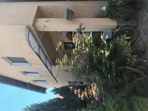 Casa de vânzare  str Kaffka Margit - imagine 5 Casa de vânzare  str Kaffka Margit - imagine 5