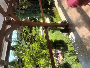 Casa de vânzare  str Kaffka Margit - imagine 9 Casa de vânzare  str Kaffka Margit - imagine 9