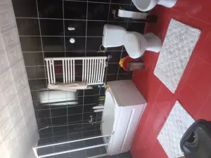 Casa de vânzare  str Kaffka Margit - imagine 2 Casa de vânzare  str Kaffka Margit - imagine 2