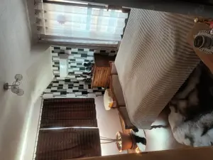 Casa de vânzare  str Kaffka Margit - imagine 8 Casa de vânzare  str Kaffka Margit - imagine 8