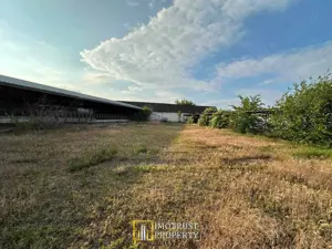 Teren 9.508 mp cu 2 fronturi stradale – Sofronea, Arad - imagine 6